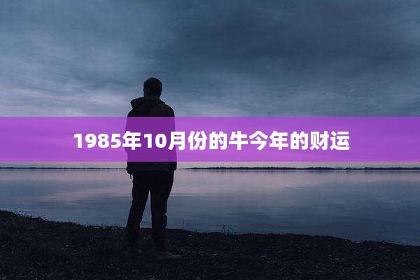1985年10月份的牛今年的财运