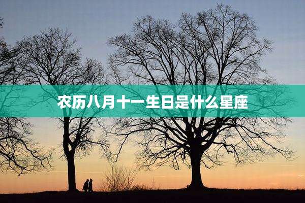 农历八月十一生日是什么星座