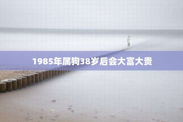 1985年属狗38岁后会大富大贵