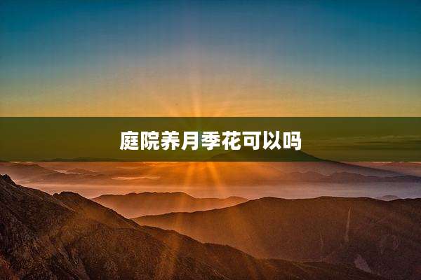 庭院养月季花可以吗