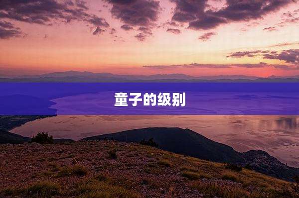 童子的级别