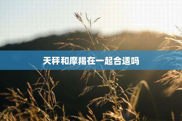 天秤和摩羯在一起合适吗