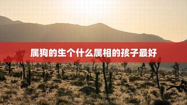 属狗的生个什么属相的孩子最好