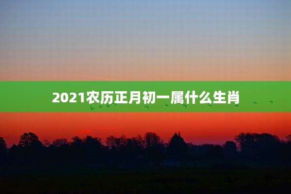 2021农历正月初一属什么生肖