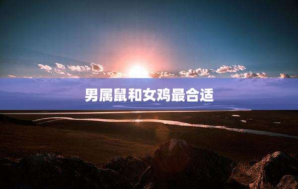 男属鼠和女鸡最合适