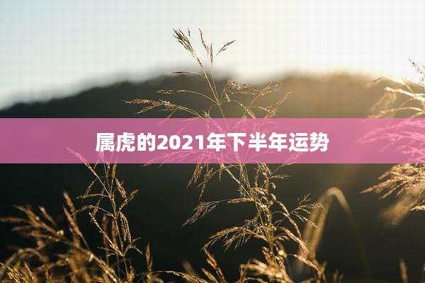 属虎的2021年下半年运势