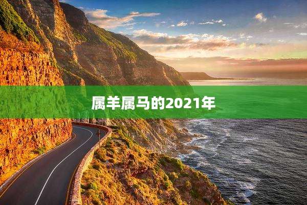 属羊属马的2021年