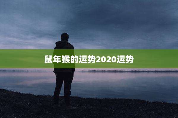 鼠年猴的运势2020运势