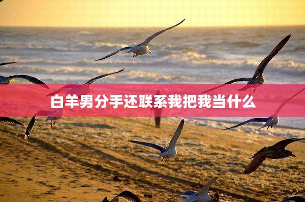 白羊男分手还联系我把我当什么
