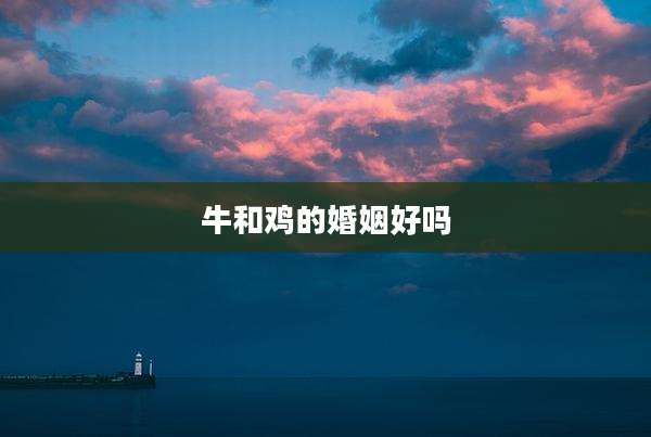 牛和鸡的婚姻好吗