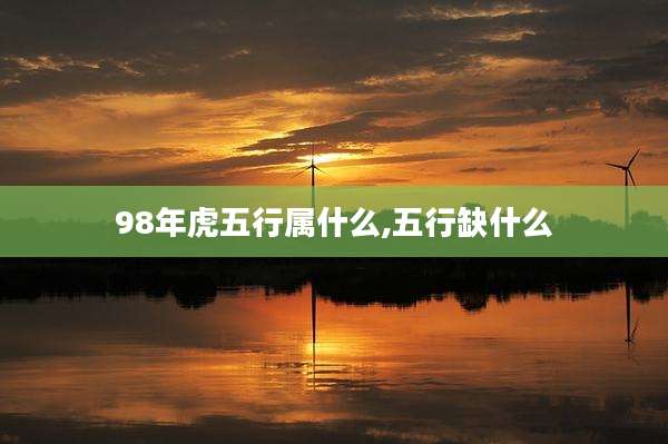 98年虎五行属什么,五行缺什么