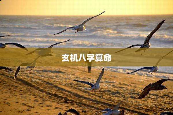 玄机八字算命