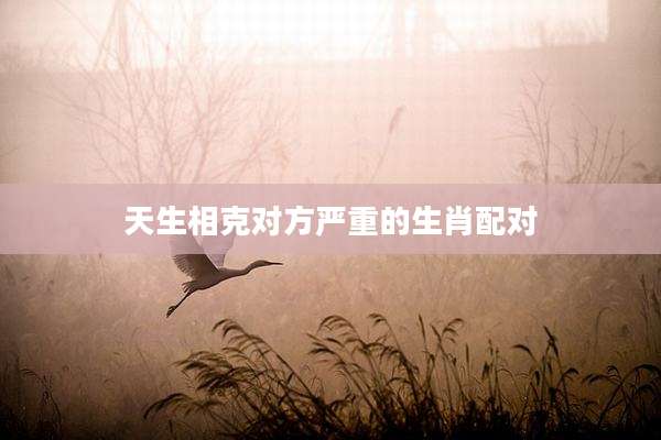 天生相克对方严重的生肖配对