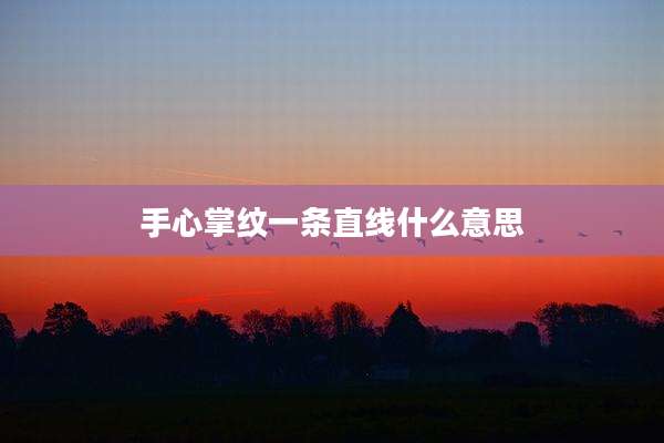 手心掌纹一条直线什么意思