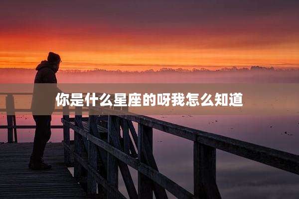 你是什么星座的呀我怎么知道
