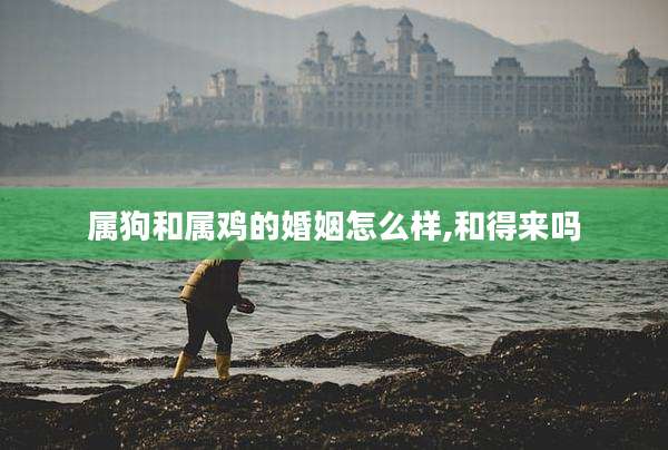 属狗和属鸡的婚姻怎么样,和得来吗
