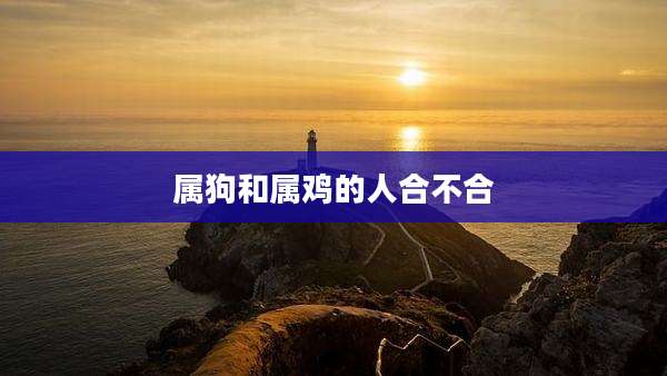 属狗和属鸡的人合不合