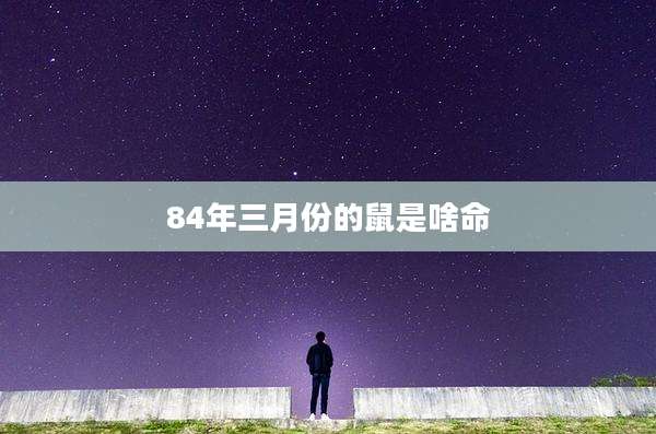 84年三月份的鼠是啥命