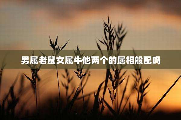 男属老鼠女属牛他两个的属相般配吗