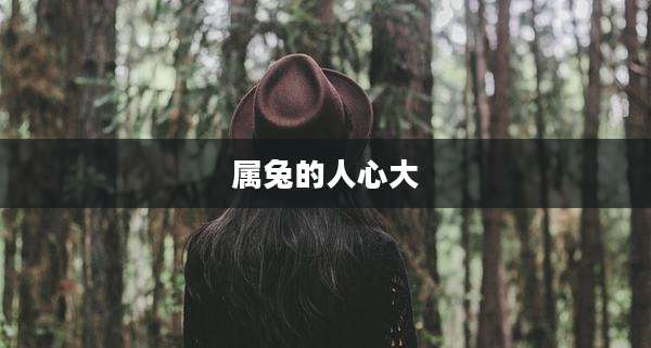 属兔的人心大