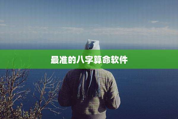最准的八字算命软件