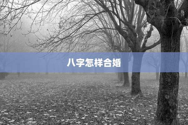 八字怎样合婚