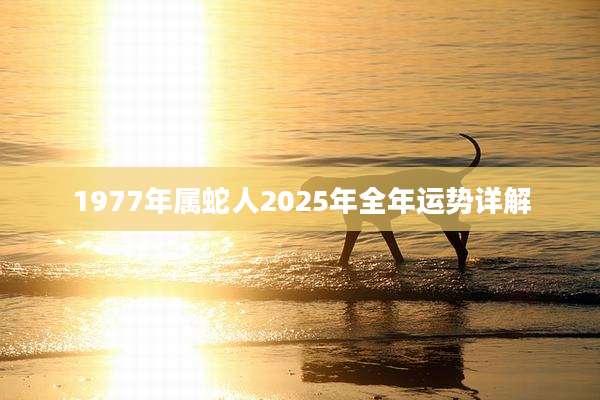 1977年属蛇人2025年全年运势详解