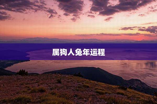 属狗人兔年运程