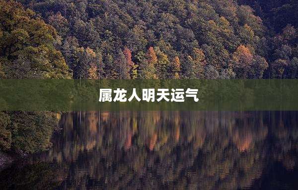 属龙人明天运气