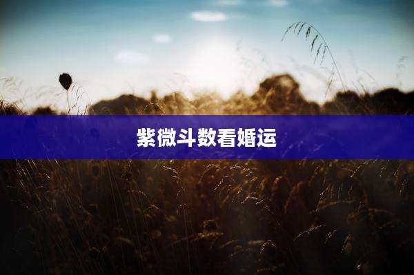 紫微斗数看婚运