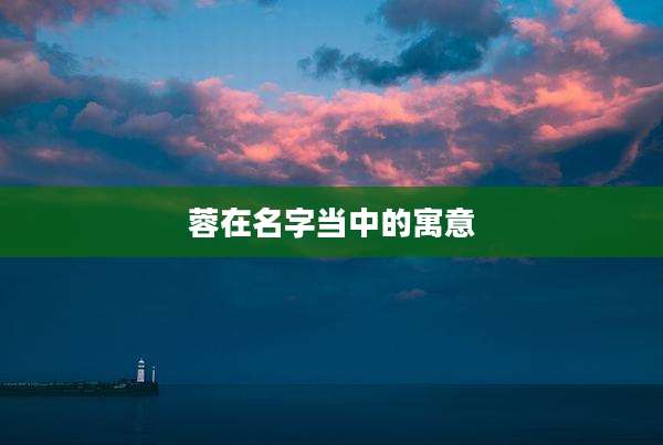 蓉在名字当中的寓意