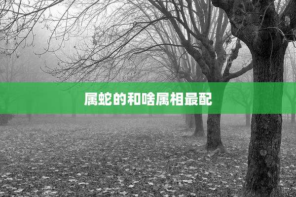 属蛇的和啥属相最配