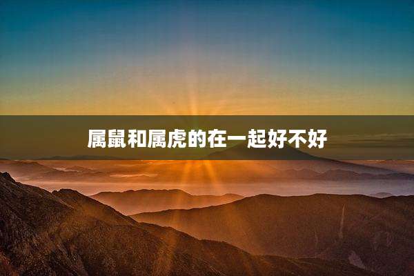 属鼠和属虎的在一起好不好