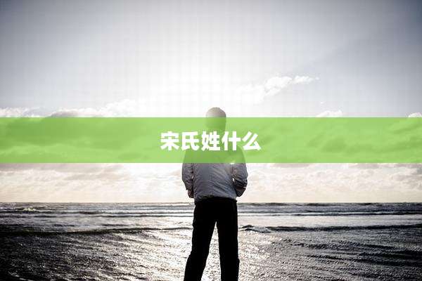 宋氏姓什么