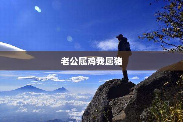 老公属鸡我属猪