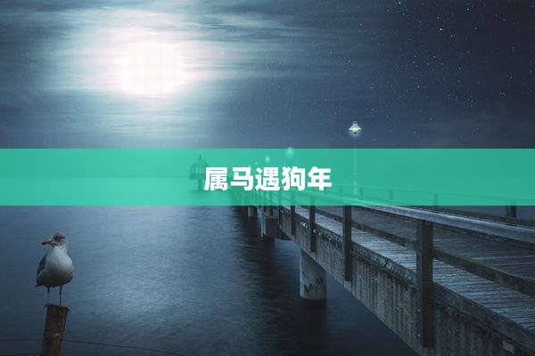属马遇狗年