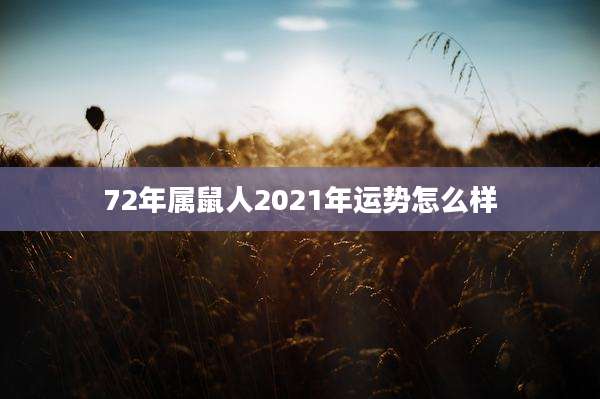 72年属鼠人2021年运势怎么样