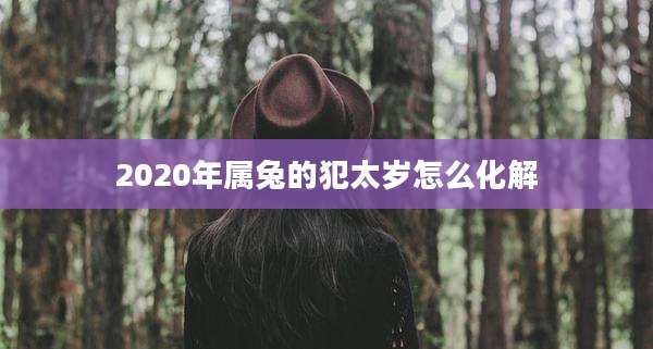 2020年属兔的犯太岁怎么化解