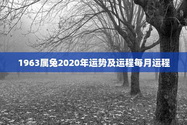 1963属兔2020年运势及运程每月运程