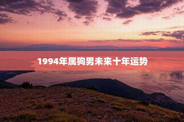 1994年属狗男未来十年运势