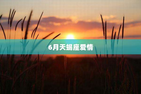 6月天蝎座爱情