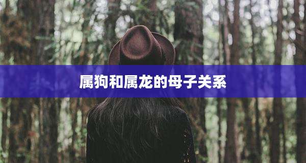 属狗和属龙的母子关系