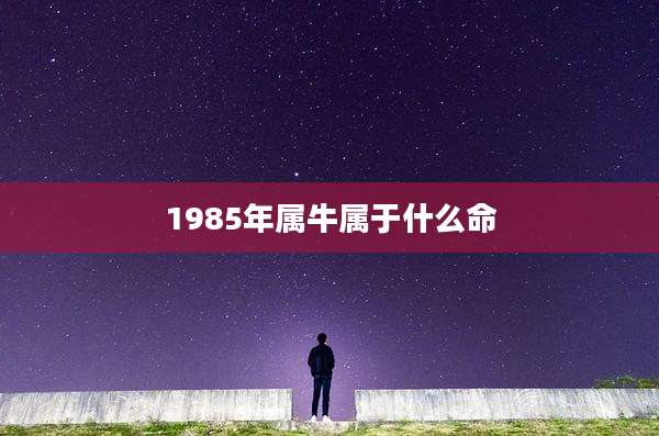 1985年属牛属于什么命
