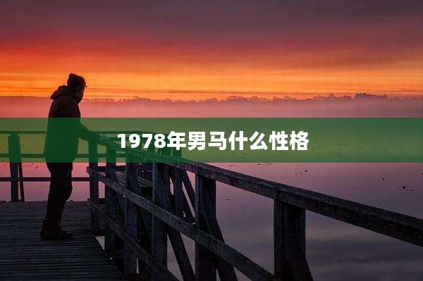 1978年男马什么性格