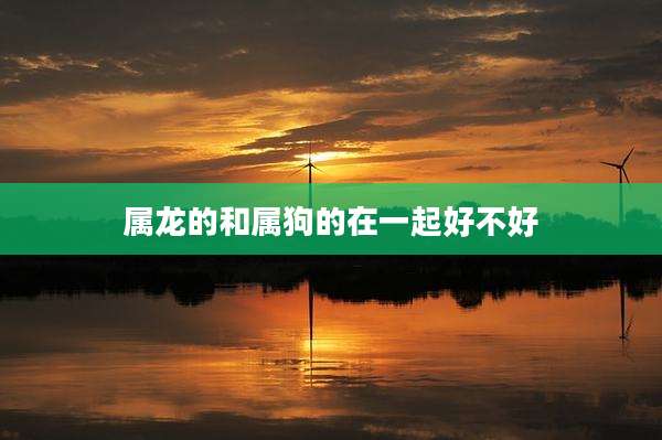 属龙的和属狗的在一起好不好