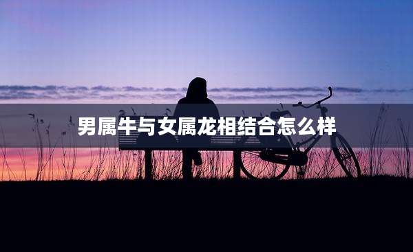 男属牛与女属龙相结合怎么样
