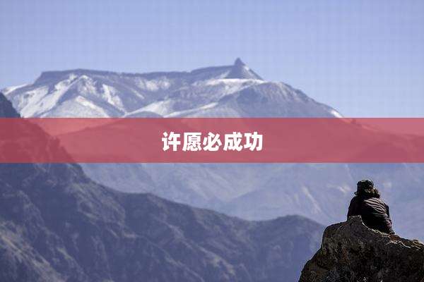 许愿必成功