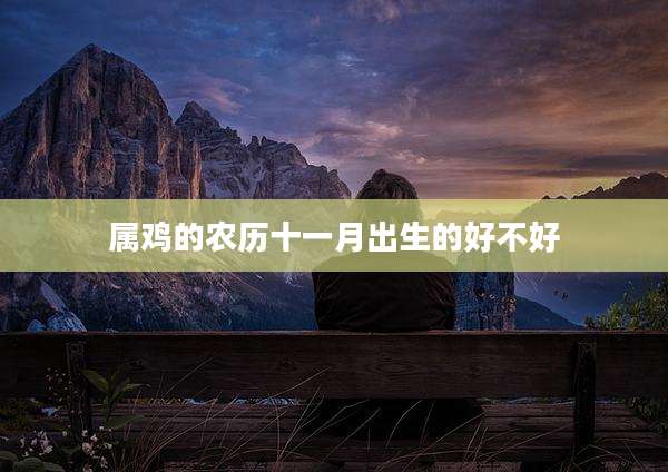 属鸡的农历十一月出生的好不好