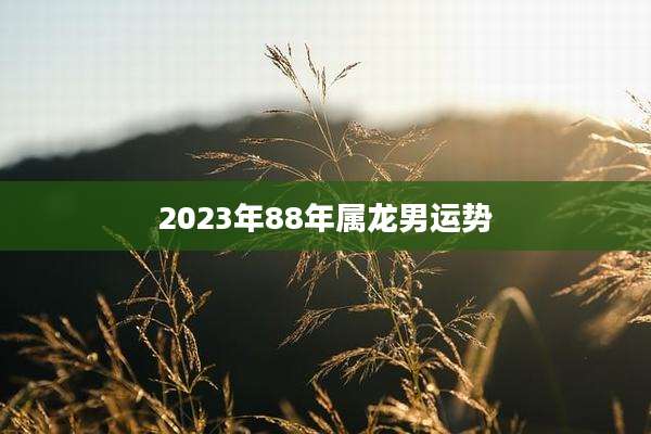 2023年88年属龙男运势