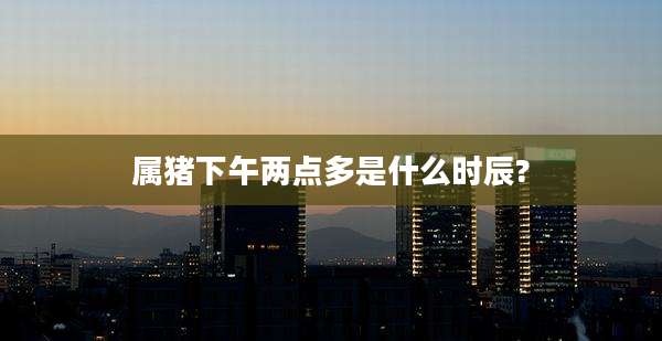 属猪下午两点多是什么时辰?